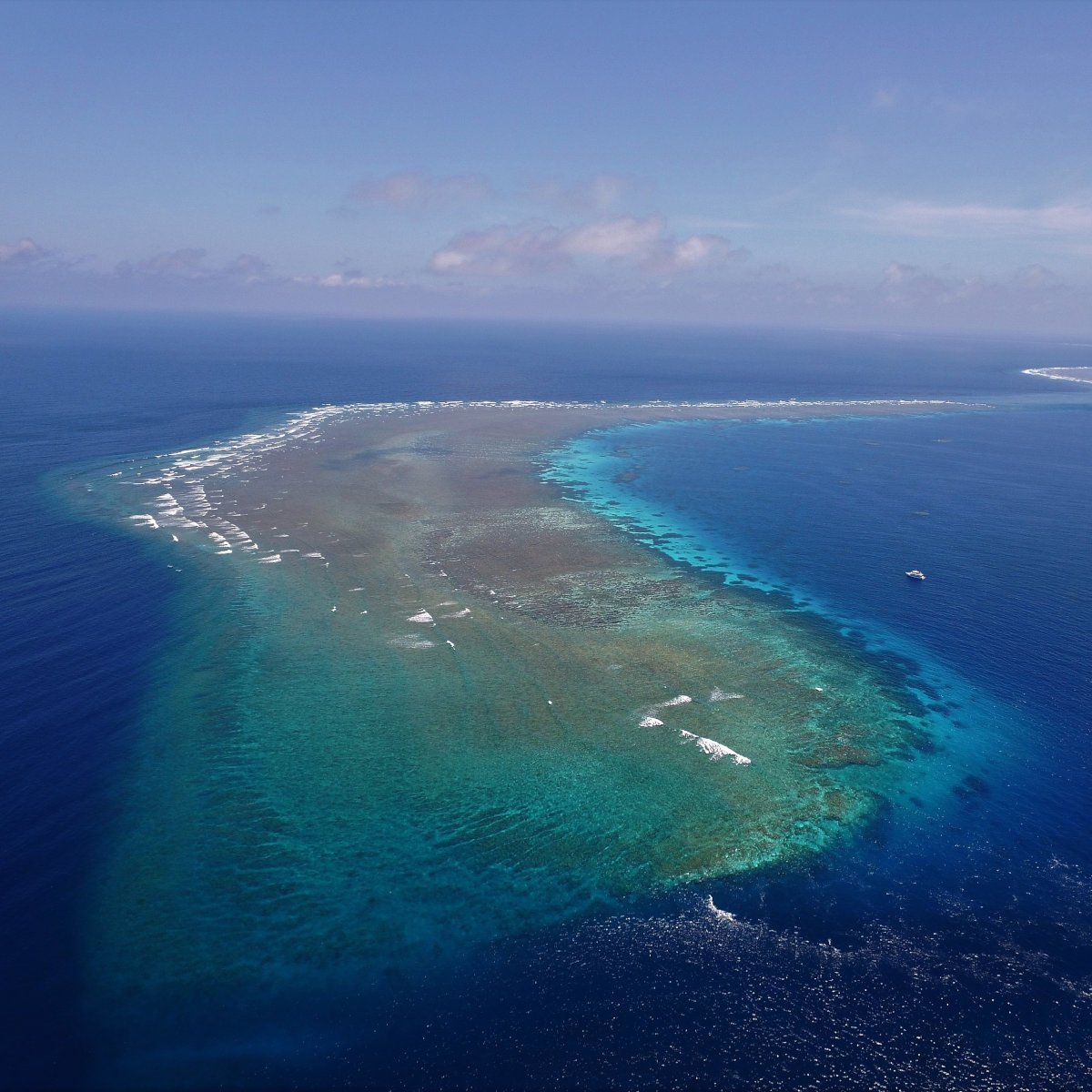 	Ashmore Reef	